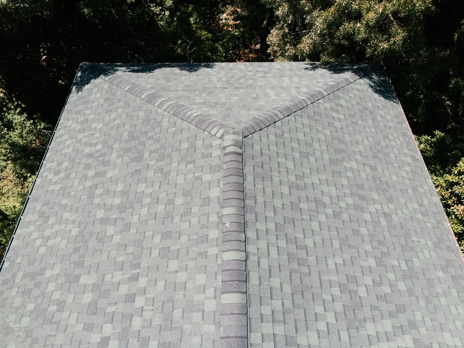 New shingle roof